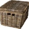 Fastrider Sera Rotan Fietsmand - Naturel - 26L - Handgemaakt - Met Klep -Fietsenwinkel 1200x1139 2