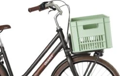 Fastrider Fietskrat Groot - Mint Groen - 34L -Fietsenwinkel 1200x770 1