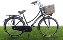 New Looxs Brisbane Large Fietsmand Voordrager - 39 Liter - Rotan - Grijs -Fietsenwinkel 1200x774 3