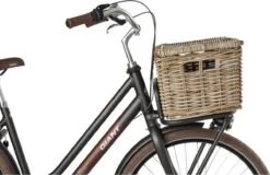 Fastrider Sera Rotan Fietsmand - Naturel - 26L - Handgemaakt - Met Klep -Fietsenwinkel 1200x776 3