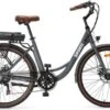 Elektrische Stadsfiets 26 '' (F264) - Stalen Frame - 6 Versnellingen Shimano - Schijfremmen - 10 Ah - Grijs -Fietsenwinkel 1200x776 7