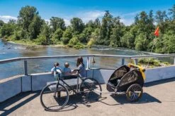 Burley Bee Double Kinderfietskar - Twee Kinderen -Fietsenwinkel 1200x800 58