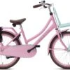 Valetta Cargo - Transportfiets - Meisjesfiets - 22 Inch - Mint Roze -Fietsenwinkel 1200x801 29