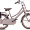 Valetta Cargo - Transportfiets - Meisjesfiets - 20 Inch - Mat Flamingo -Fietsenwinkel 1200x821 3