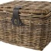 Fastrider Sera Rotan Fietsmand - Bruin - 17L - Handgemaakt - Met Klep 1 Fastrider Sera Rotan Fietsmand - Bruin - 17L - Handgemaakt - Met Klep -Fietsenwinkel 1200x899 1