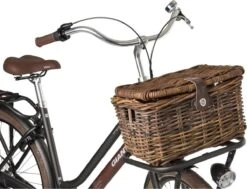 Fastrider Sera Rotan Fietsmand - Bruin - 17L - Handgemaakt - Met Klep -Fietsenwinkel 1200x916