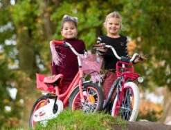 Amigo Magic Meisjesfiets - Kinderfiets 12 Inch - Wit -Fietsenwinkel 1200x917 6