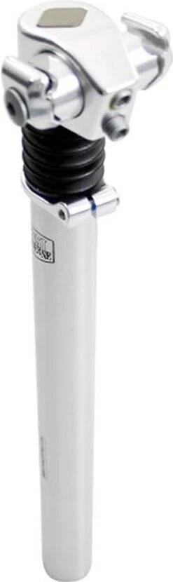 Zadelpen Verend 27,2 X 310 Mm Aluminium Zilver -Fietsenwinkel 357x1200