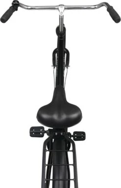 Crown Moscow Omafiets 28 Inch 53cm Grijs -Fietsenwinkel 770x1200 4