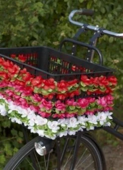 Basil Flower Garland Bloemenstreng - Wit -Fietsenwinkel 870x1200